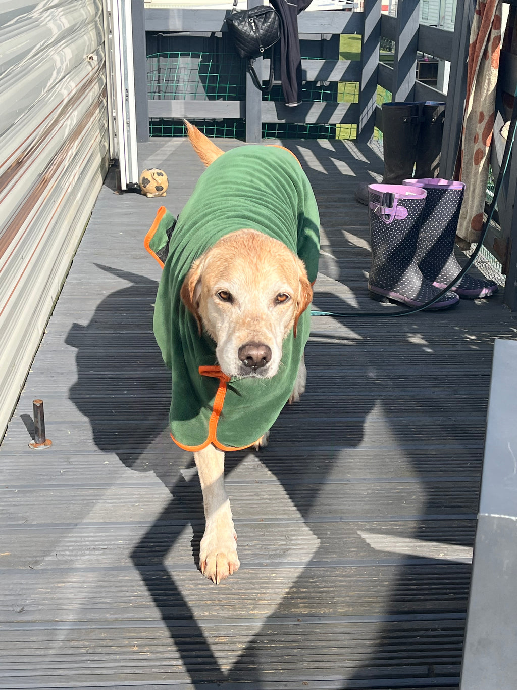 The Travelling Hound Quick-Dry Dog Robe