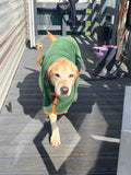 The Travelling Hound Quick-Dry Dog Robe