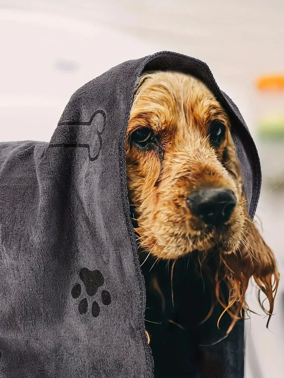 The Travelling Hound Quick-Dry Dog Towel